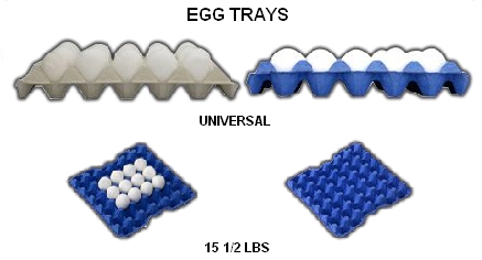 egg tray